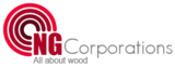 NG logo