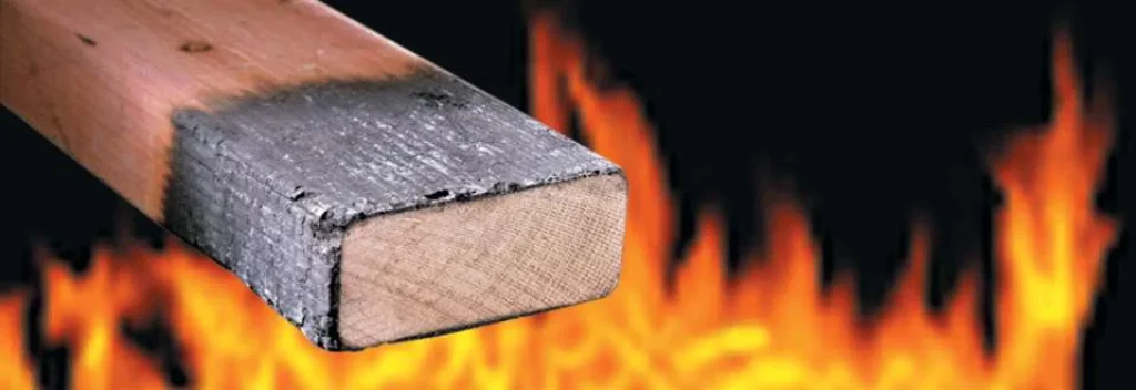 flames with charred wood in front opt 960 b0fdf4d1