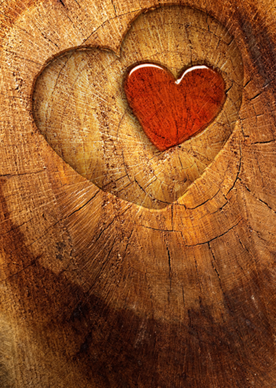 wood love